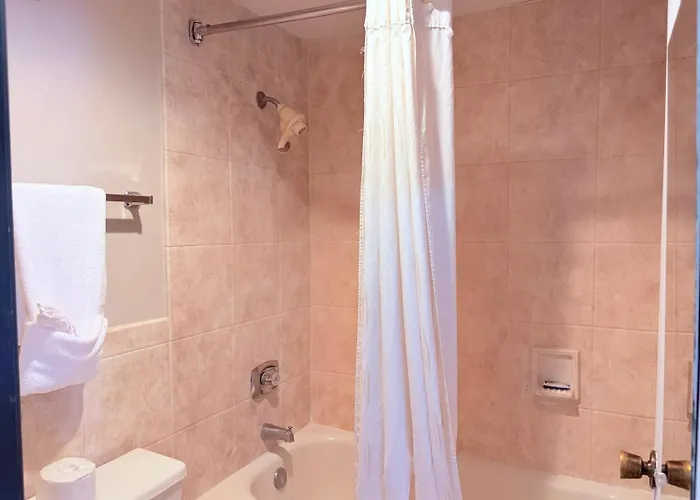 Discovery